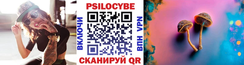 где можно купить   Дагестанские Огни  Псилоцибиновые грибы мухоморы 