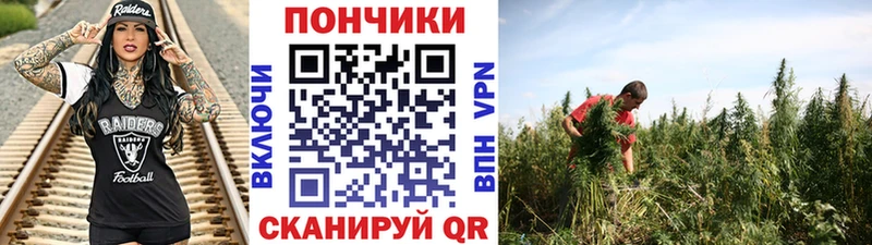 Канабис AK-47  Дагестанские Огни 